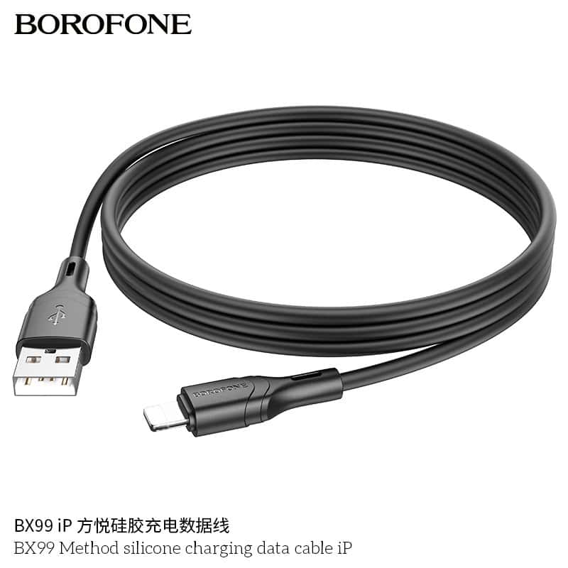 (30 pcs/Box) Borofone BX99 1M USB A to Lightning Data Sync Cable Cord For Shop Counter (Black)